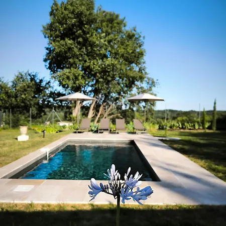 Beautiful Between Uzes & Avignon Дом отдыха *