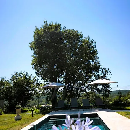 Beautiful Between Uzes & Avignon * Saint-Marcel-de-Careiret